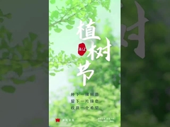 Aluminium-Oxid-Fahrwalze